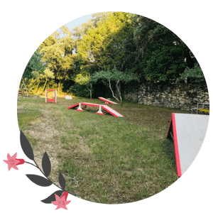 Woof parc terrain